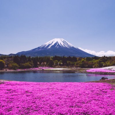 Ada15076225's profile picture. Mere, aime faire la cuisine et lire / Mother , likes to cook and read