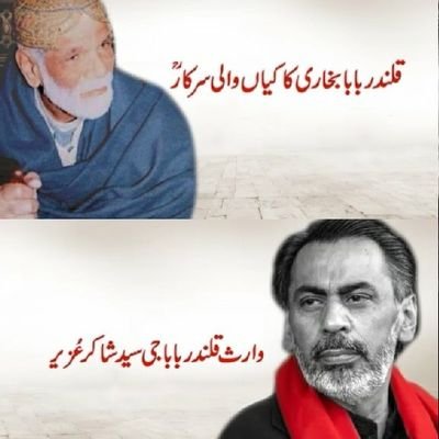 Tanveer68230060's profile picture. harris