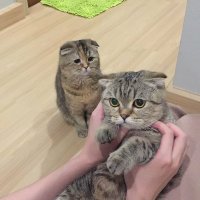 conzept (@conzeptalready) 's Twitter Profile