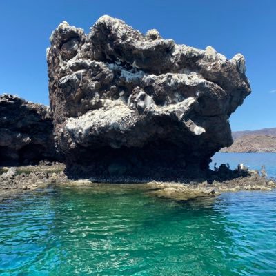 jorgevergotas's profile picture. La cuarta transformación es un fraude y todo lo que le rodea. Arrepentido de haberlos apoyado.