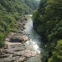 佐倉 (@z9l0qfpjzndlcb2) 's Twitter Profile Photo