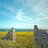 CottagesDorset's profile image