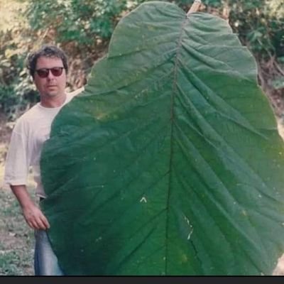 MaiGii4's profile picture. Hdjdj