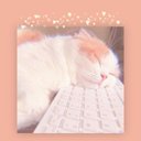 McKenzie Mosley - @McKenzieMosley2 - Twitter