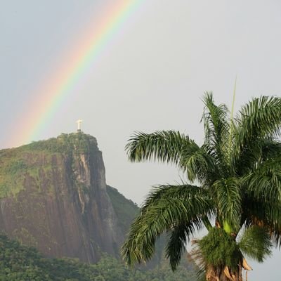 roberto_gavea's profile picture. Democracia civil