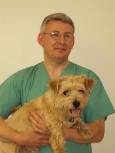 Veterinary Surgeon at Ark Vet Centre Limited and Bridge Veterinary Clinic