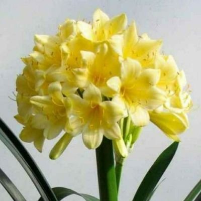 MayazhaganRBS's profile picture. 