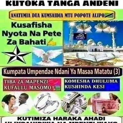 SheikhSaid14's profile picture. 