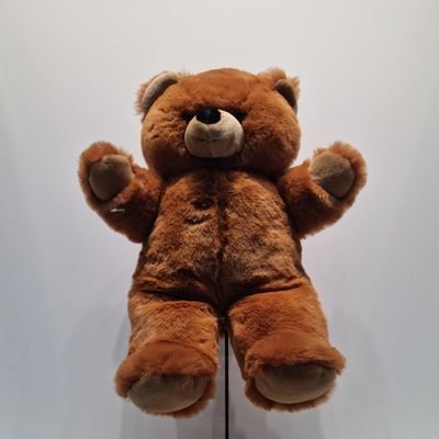 Gillesthebear Profile Picture