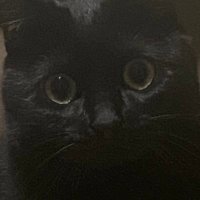 supadopa (@xest17) 's Twitter Profile