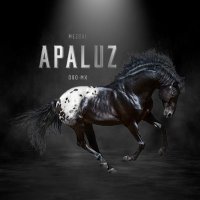 Mezcal APALUZ(@APALUZMezcal) 's Twitter Profile Photo