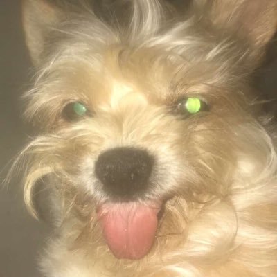 lulvinnie's profile picture. 14🎈|