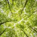 Planetary Climate News (@climatenews_a18) Twitter profile photo Planetary Climate News (@climatenews_a18) Twitter profile photo