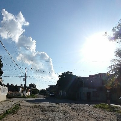 jose_trevi's profile picture. 