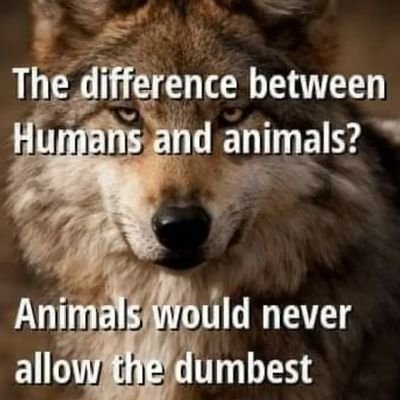 wyha713's profile picture. Just here for the show