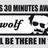 Mr_Wolf_at_work's profile image