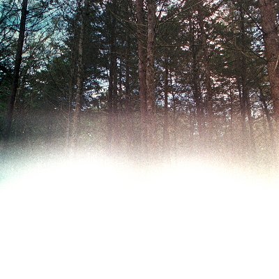 Eavemaria2's profile picture. vengo a chismosear