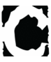The Copydesk (@thecopydeskltd) Twitter profile photo The Copydesk (@thecopydeskltd) Twitter profile photo