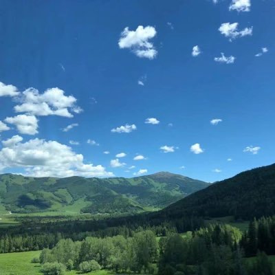 rainbow1588's profile picture. 社会人です！よろしくお願いします🥺