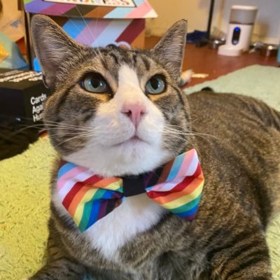 bigchonkbenny's profile picture. chonky boi