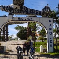 Robert Castaneda (@robertc87901413) 's Twitter Profile