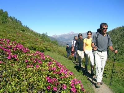 RobbyCallaway's profile picture. I have the best hobby in the world!!! Homebrew!!!
Owner of http://t.co/ii32z7bWQp