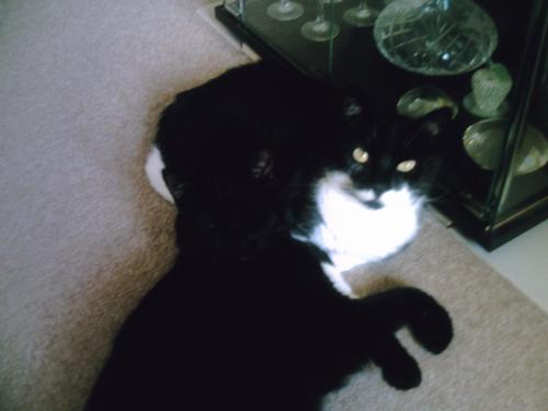 LordGrose's profile picture. Mentalcase wanting to make friends with other people.  Tall, dark and gruesome with a taste for the outrageous!