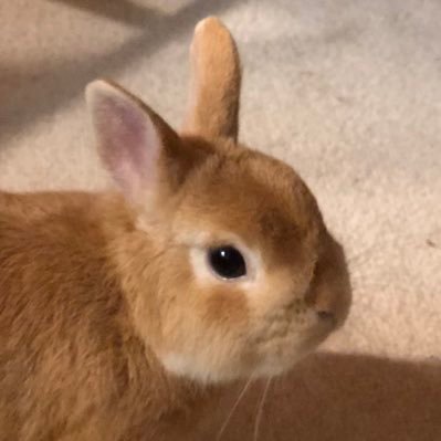 6l7fnUtSLB2GiXN's profile picture. 思った事、感じた事を時々呟きます。必要と思われる時に、情報を正しく提供してくれないマスメディアに、政治家に対するのと同様、不満と不信感を抱くようになってしまいました。Twitterで情報キャッチ、勉強させてもらっています。仕事、子育て、介護でいつもバタバタ。すき間時間のTweetです。