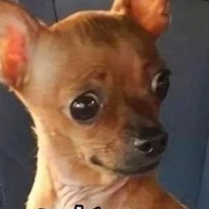 allforkedup's profile picture. 