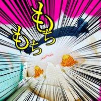 キンメダイ (@kinmedaihauo) 's Twitter Profile