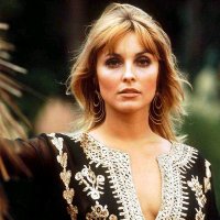 Tanya DiCola (@tanyadicola) 's Twitter Profile