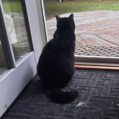 TeddZagan's profile picture. 