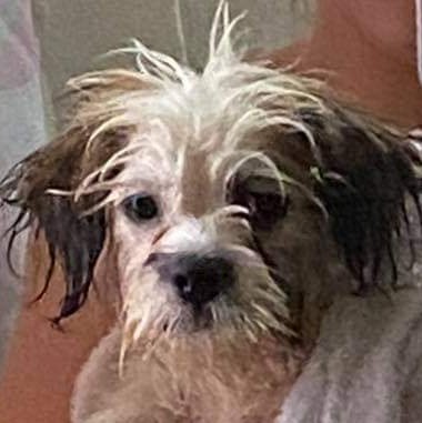 O1000110's profile picture. ︎ ︎ ︎ ︎ ︎ ︎ ︎ ︎ ︎ ︎ ︎ ︎ ︎ ︎ ︎ ︎ ︎ ︎ ︎ ︎ ︎ ︎ ︎ ︎ ︎ ︎ ︎ ︎ ︎ ︎ ︎ ︎ ︎ ︎ ︎ ︎ ︎ ︎ ︎ ︎ ︎ ︎ ︎ ︎ ︎ ︎ ︎ ︎ ︎ ︎ ︎ ︎ ︎ ︎ ︎ ︎ ︎ ︎ ︎ ︎ ︎ ︎ ︎ ︎ ︎ ︎