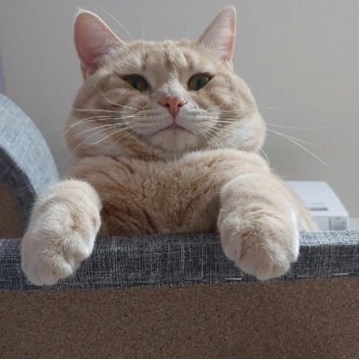 こーたろーさんのプロフィール画像
