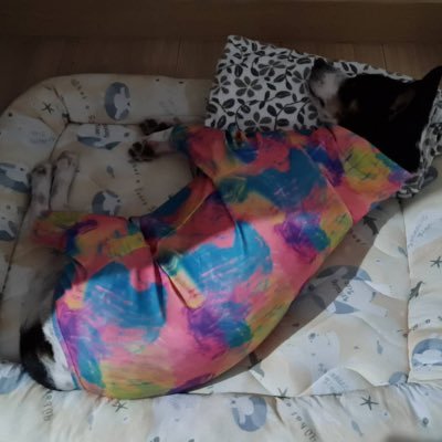 nunnizzz's profile picture. KUS34-35•AFS JPN#47•Arts Cu#78 FB:https://t.co/b3PaygVVRK Instagram:@oknun