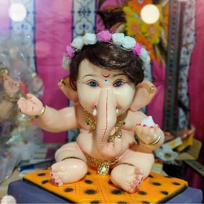 Shraddh15895959's profile picture. 