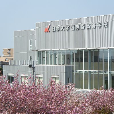 NichinaraHS's profile picture. 