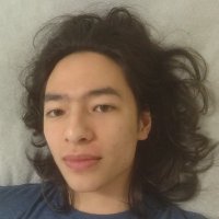 Tao Lin (@taoroalin) 's Twitter Profile