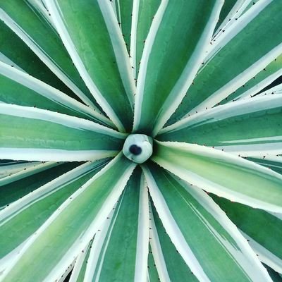 vionadelisa13's profile picture. | random |