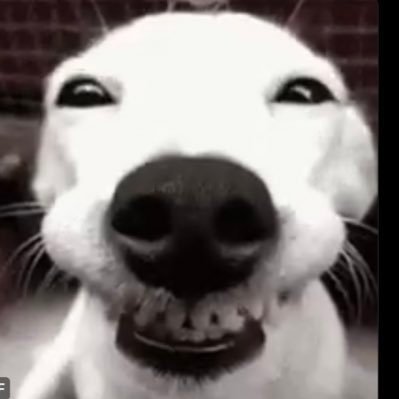 HawkBBN's profile picture. #BBN