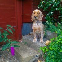 Tracey (@tracey20062261) 's Twitter Profile
