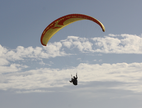 Carving the waves and soaring the skies - as nature intended