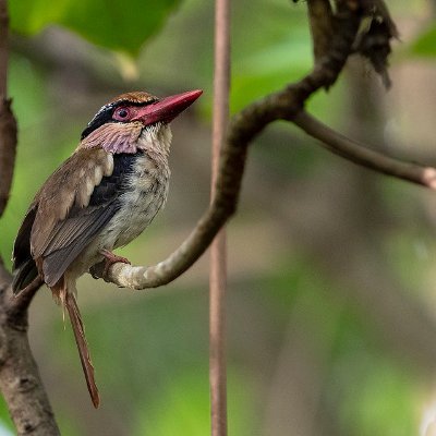 RachelS69676542's profile picture. 