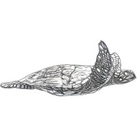 Seacreatures Podcast (@seacreature_pod) 's Twitter Profile