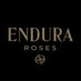 Endura Roses UK (@enduraroses) Twitter profile photo Endura Roses UK (@enduraroses) Twitter profile photo