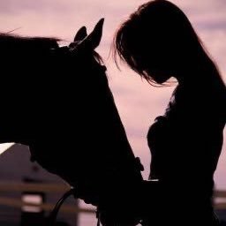 sa_h__x's profile picture. Accountant | It's just life.