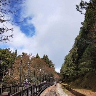 宗ページ✩.*˚ 注文単位：5】スペーサー YAHATA その他 4×15mm