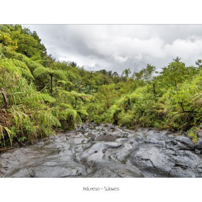 ZamriPrashanth1's profile picture. 