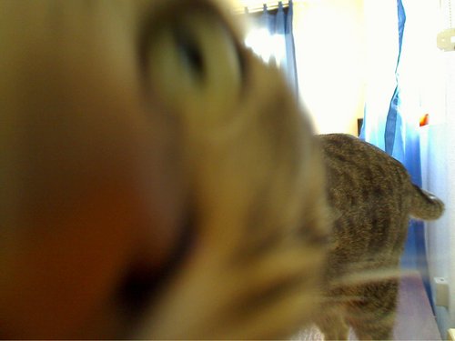 tudom_anyos's profile picture. Jedlik Ányos mondja az anyjának: - Mama! Feltaláltam a dinamót... - Tudom Ányos ...