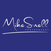 Mike Snell(@LectorExLibri) 's Twitter Profile Photo